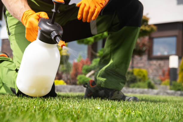 Best Affordable Pest Control Services  in Bingham Farms, MI