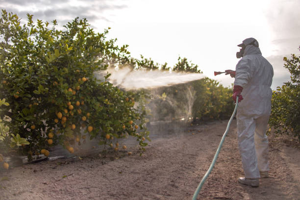 Best Pest Control Cost  in Bingham Farms, MI