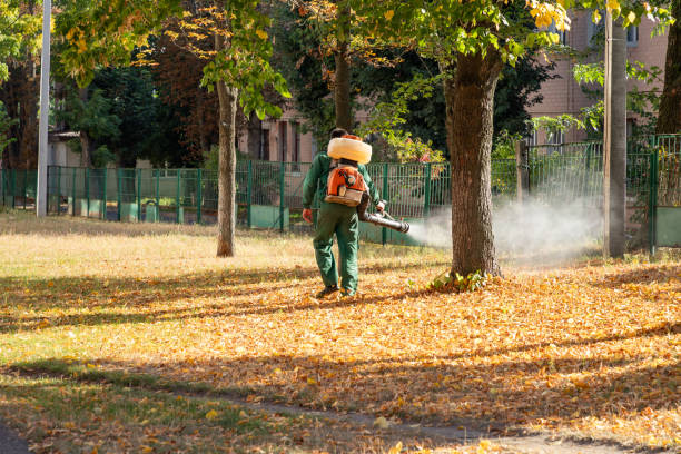 Best Rodent Control Near Me  in Bingham Farms, MI